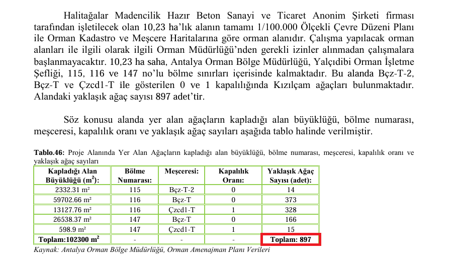 Kesilecek Ağaç Sayısı