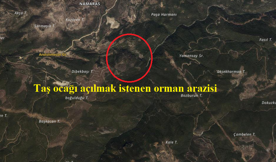 Proje Alanı