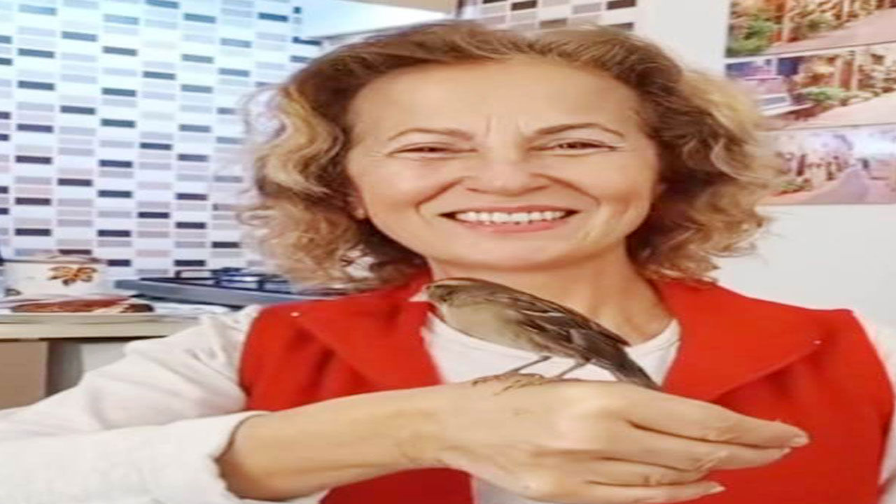Kıv2