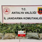 Alanya'da uyuşturucu operasyonu