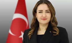 Başkan Vekili Özdemir’den 24 Temmuz mesajı