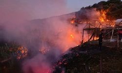 Antalya'da 3 günde 8 ilçede 34 yangın çıktı