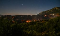 Kumluca, Kaş ve Manavgat orman yangınları kontrol altında
