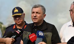 Vali Şahin, Kumluca'daki yangın bölgesinde