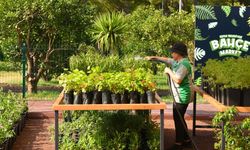 Dokumapark'a Bahçe Market açılıyor