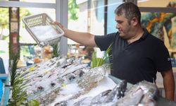 Antalya'da taze balığın uygun fiyatlı adresi