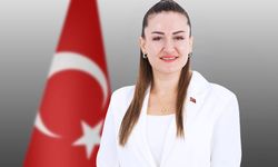 Başkan Vekili Özdemir'den 30 Ağustos mesajı