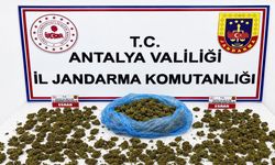 Alanya'da uyuşturucu operasyonu