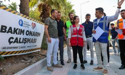 Başkan Vekili Özdemir çalışmaları yerinde inceledi
