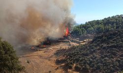 Antalya Kumluca'da orman yangını