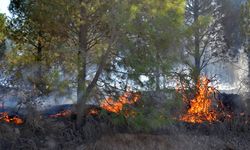 Serik'teki yangında 6 ev yandı, gözyaşları sel oldu