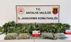 Alanya'da uyuşturucu operasyonu