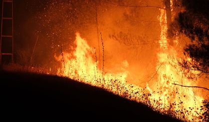 Alanya'da orman yangını: 45 konut tahliye edildi