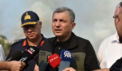 Vali Şahin, Kumluca'daki yangın bölgesinde