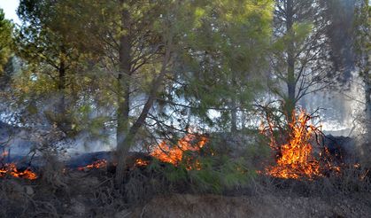 Serik'teki yangında 6 ev yandı, gözyaşları sel oldu