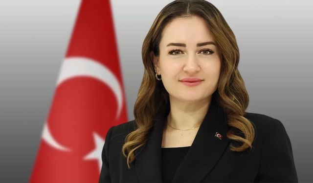Başkan Vekili Özdemir’den 24 Temmuz mesajı