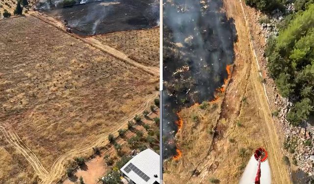 Kepez'de dünkü yangının yakınında yeni yangın