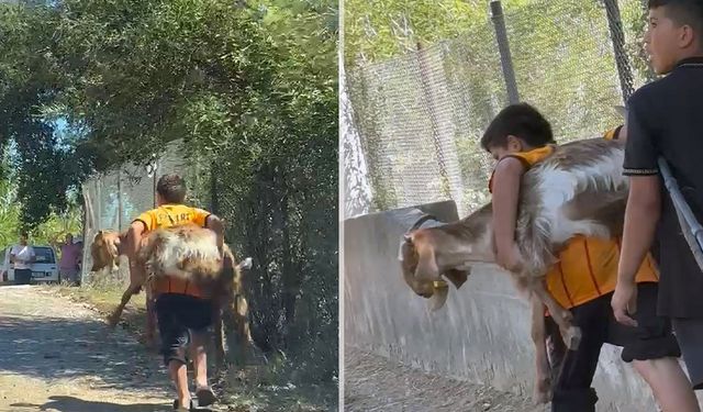 Alevlerin arasından ‘Sarıkız’ı sırtlarında taşıdılar