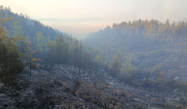Kumluca'daki yangınının enerjisi düşürüldü