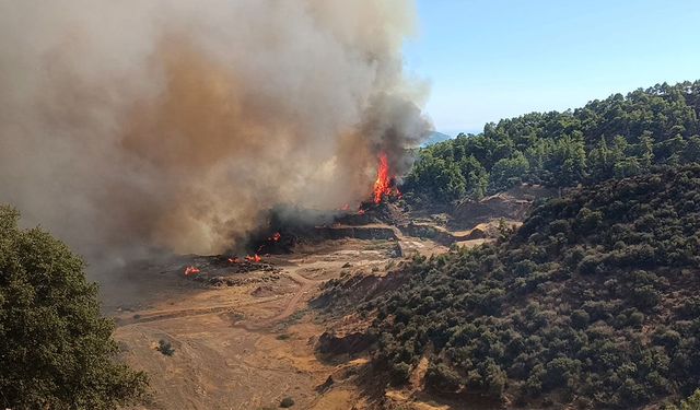 Antalya Kumluca'da orman yangını