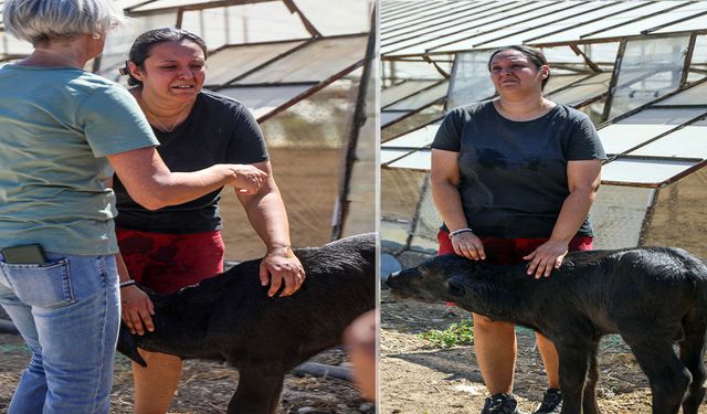 Antalya’da yangın kabusu: Malağına sarılıp gözyaşı döktü