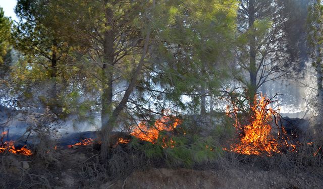 Serik'teki yangında 6 ev yandı, gözyaşları sel oldu