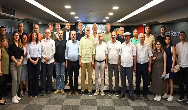 Antalya’da zeytinde yüzde 40 rekolte artışı bekleniyor