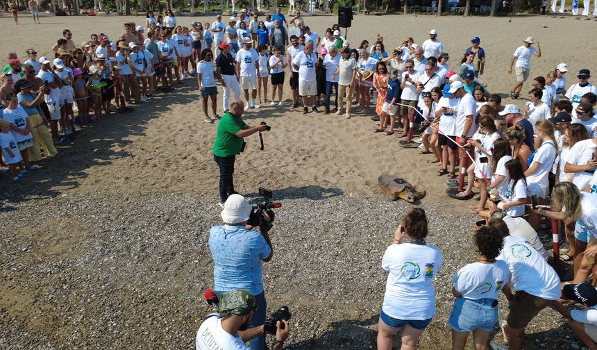 Belek'te carettalar uyduyla izlenecek