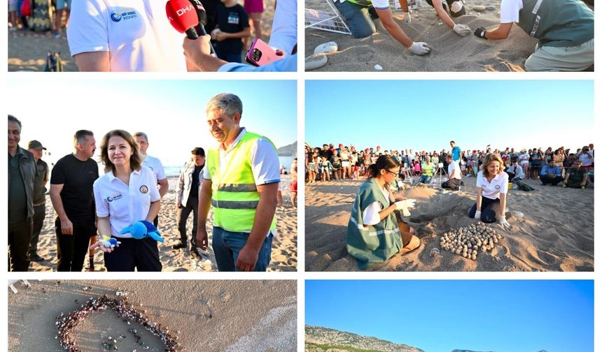 Caretta caretta yavruları Çıralı'da denizle buluştu