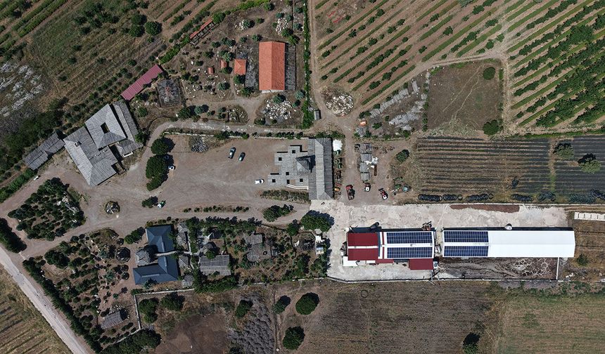 Lisinia Doğa, Tayland'da Türkiye'yi temsil edecek
