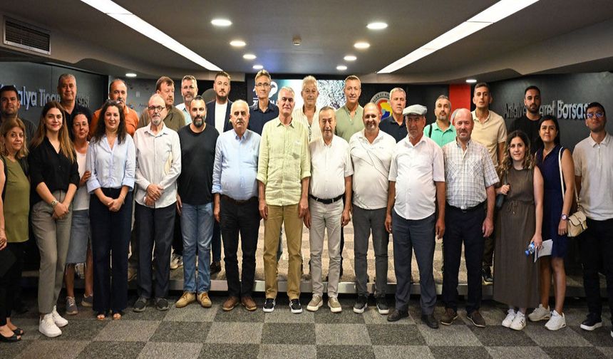 Antalya’da zeytinde yüzde 40 rekolte artışı bekleniyor